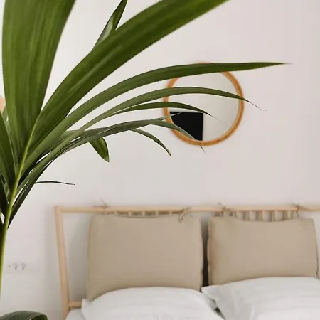 Apartment Litore Pula