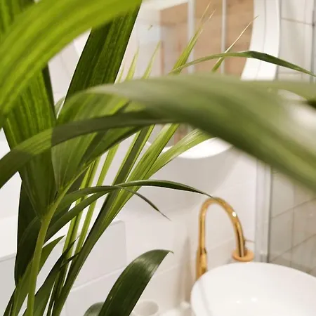 Apartment Litore