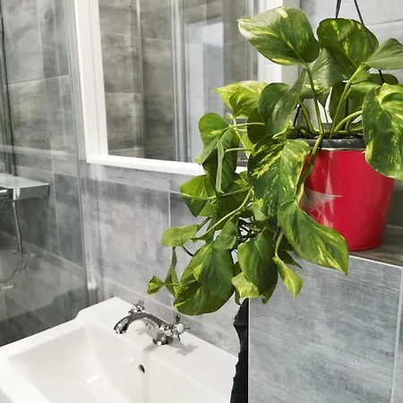 Litore Apartment