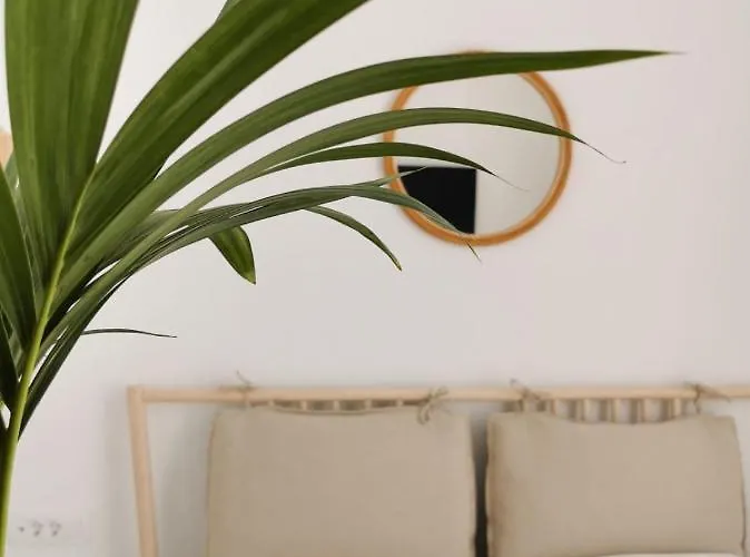 Apartment Litore Pula